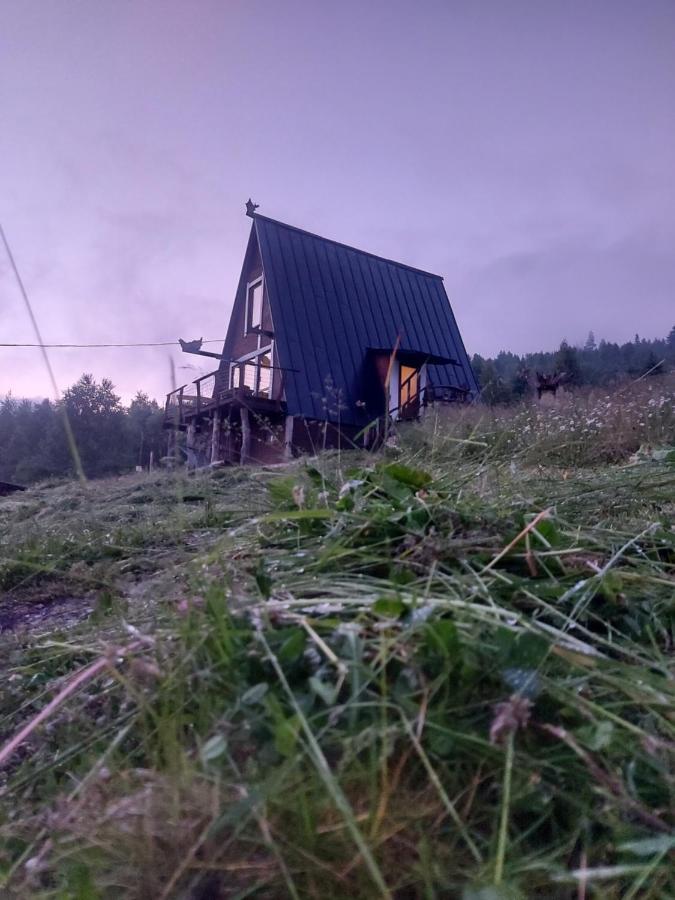 Apartmán Oak House Paljanycja Exteriér fotografie