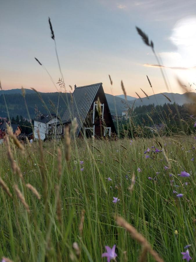 Apartmán Oak House Paljanycja Exteriér fotografie