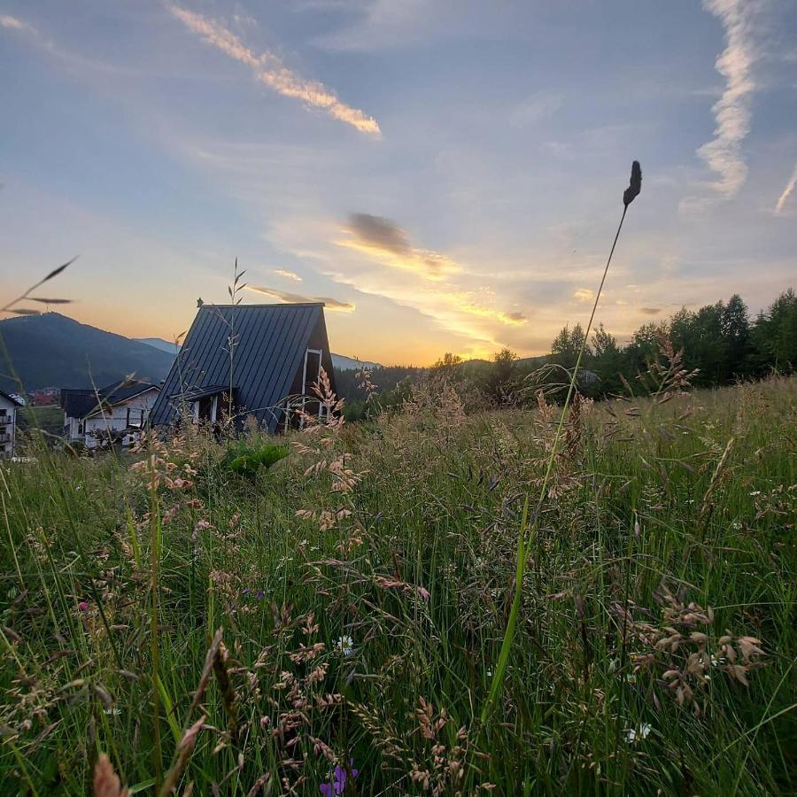 Apartmán Oak House Paljanycja Exteriér fotografie